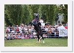 FABIO EROE * 3072 x 2048 * (1.64MB)